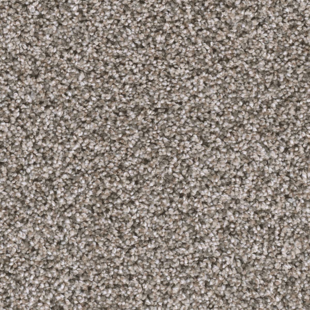 DreamWeaver® Reflections II Textured Cut Pile Carpet