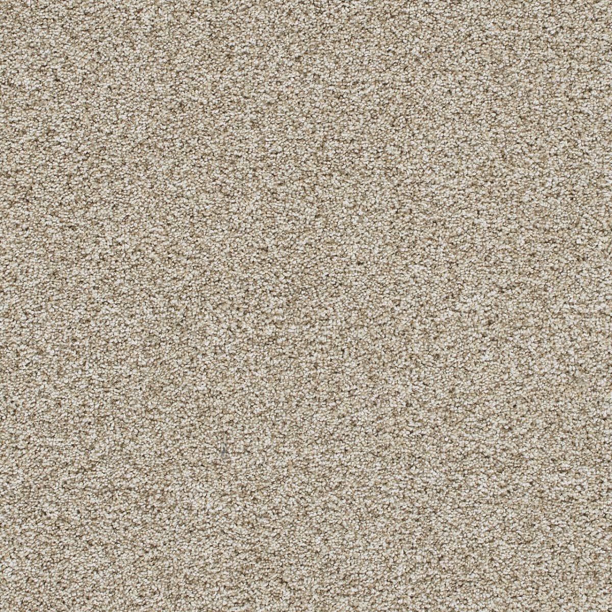 DreamWeaver® Reflections II Textured Cut Pile Carpet