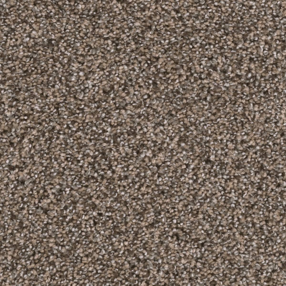 DreamWeaver® Reflections II Textured Cut Pile Carpet