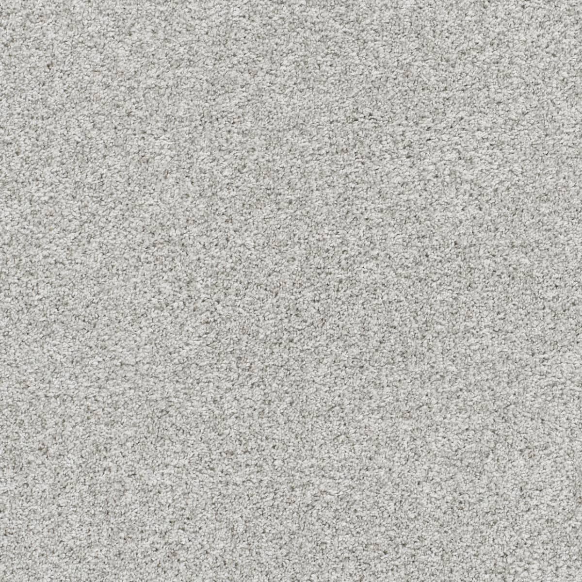 DreamWeaver® Reflections II Textured Cut Pile Carpet