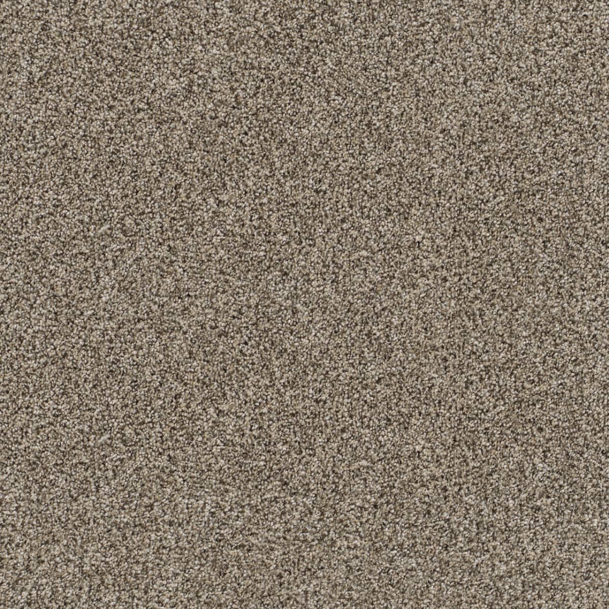 DreamWeaver® Reflections II Textured Cut Pile Carpet