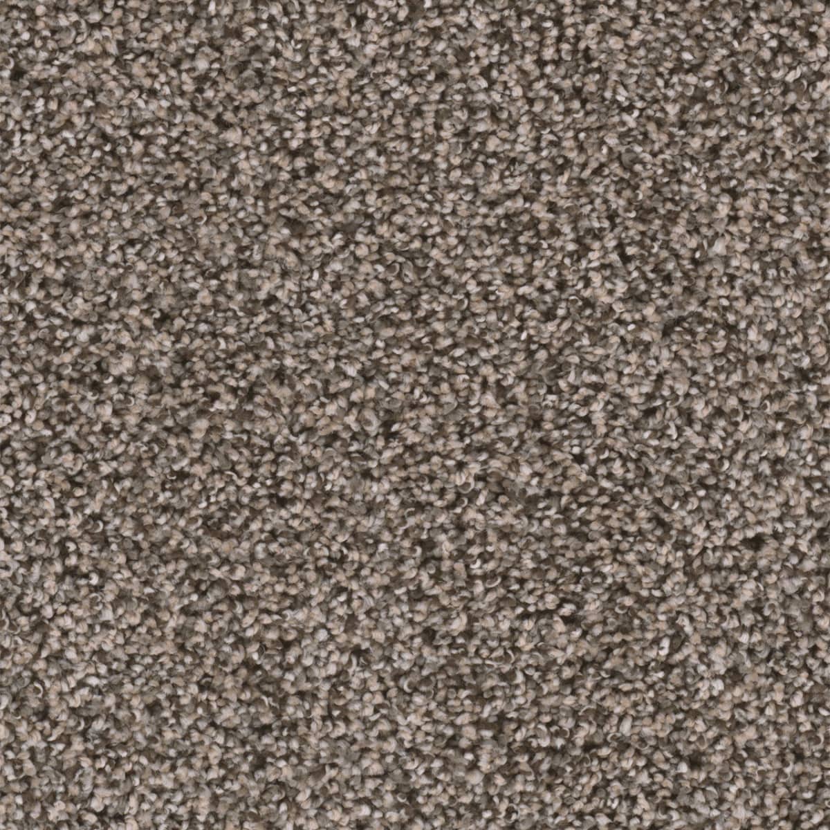 DreamWeaver® Reflections II Textured Cut Pile Carpet