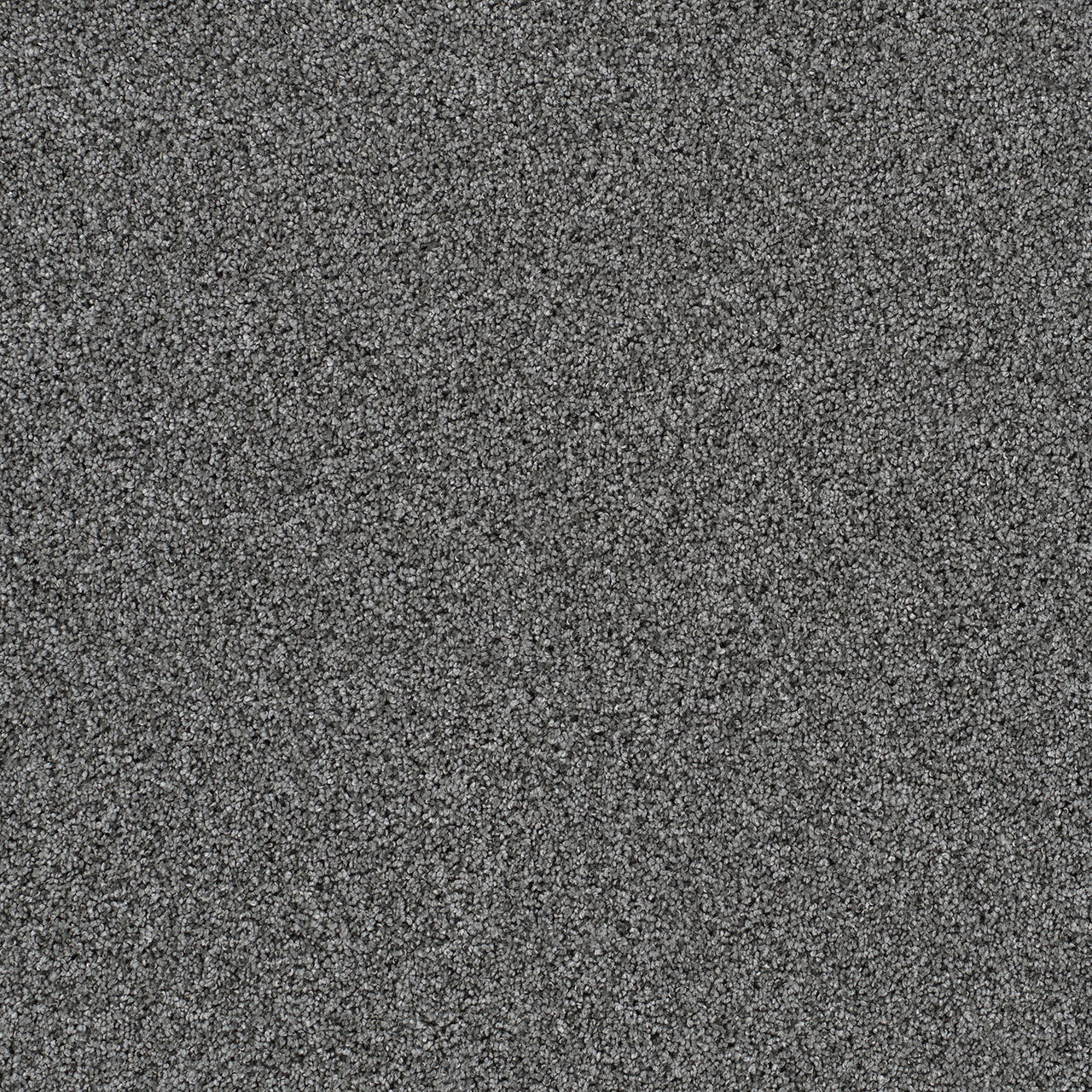 DreamWeaver® Reflections II Textured Cut Pile Carpet