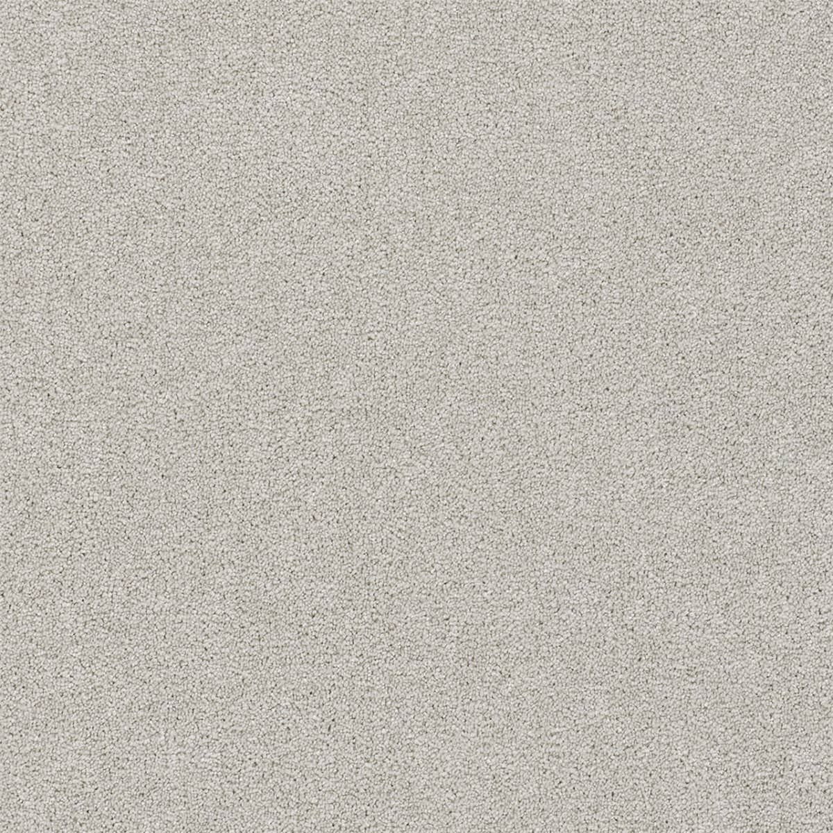 DreamWeaver® Rock Solid II Textured Cut Pile Carpet