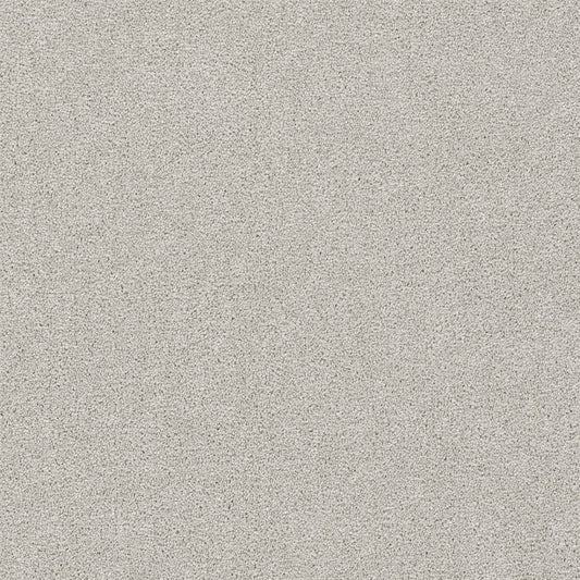 DreamWeaver® Rock Solid III Textured Cut Pile Carpet