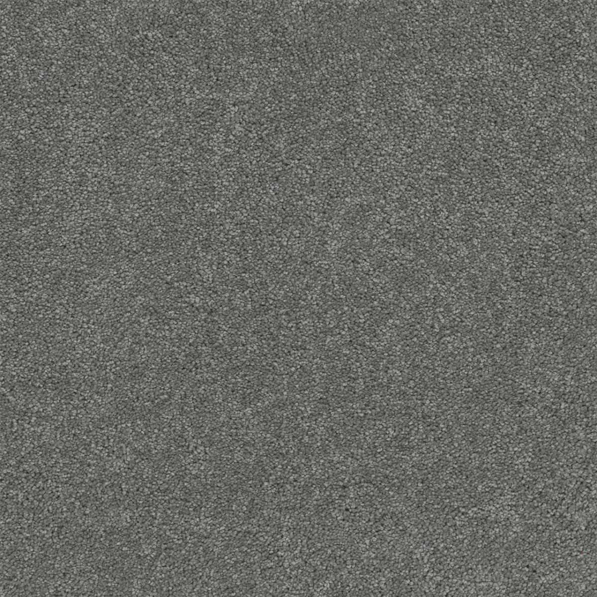 DreamWeaver® Rock Solid II Textured Cut Pile Carpet