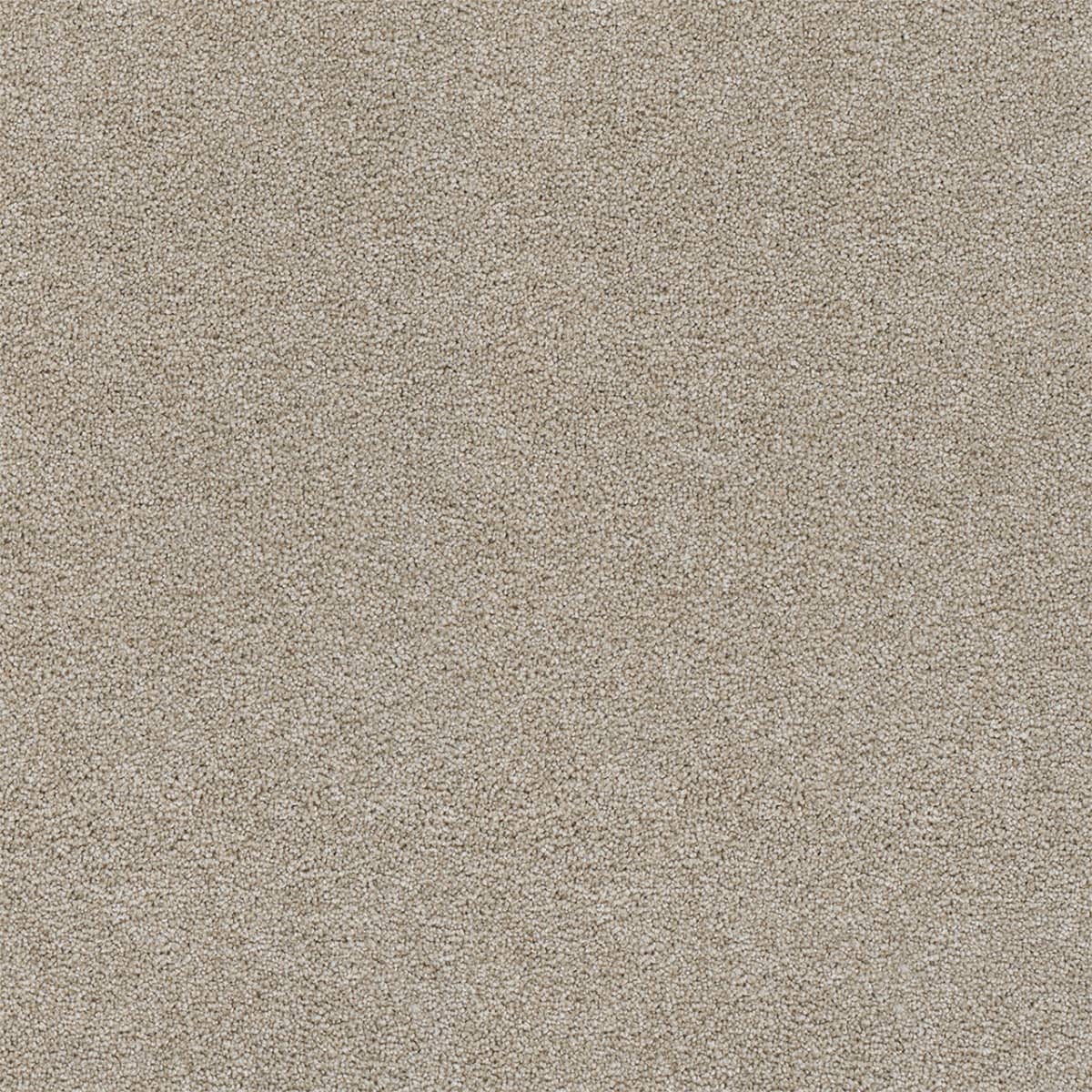DreamWeaver® Rock Solid II Textured Cut Pile Carpet