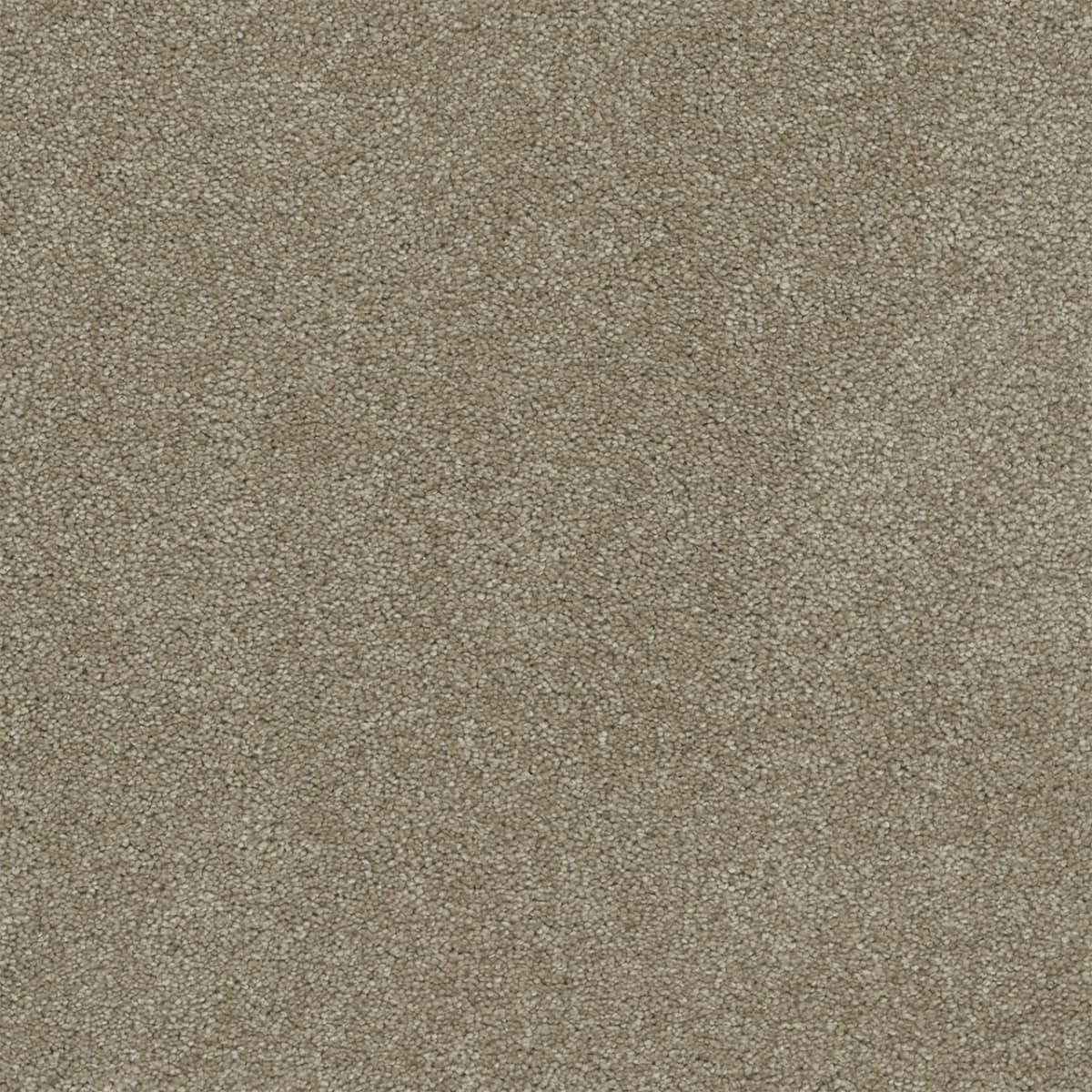 DreamWeaver® Rock Solid II Textured Cut Pile Carpet