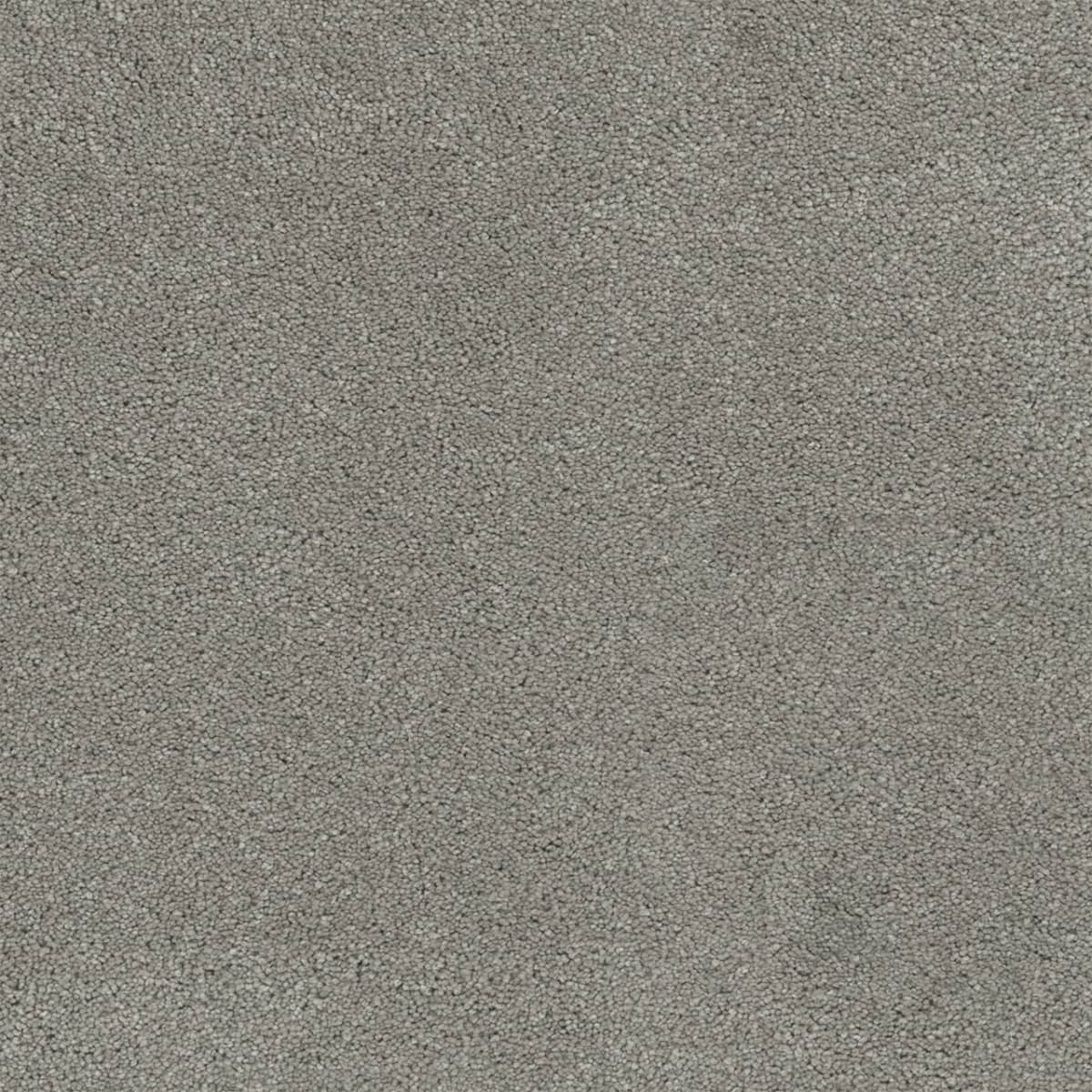 DreamWeaver® Rock Solid II Textured Cut Pile Carpet