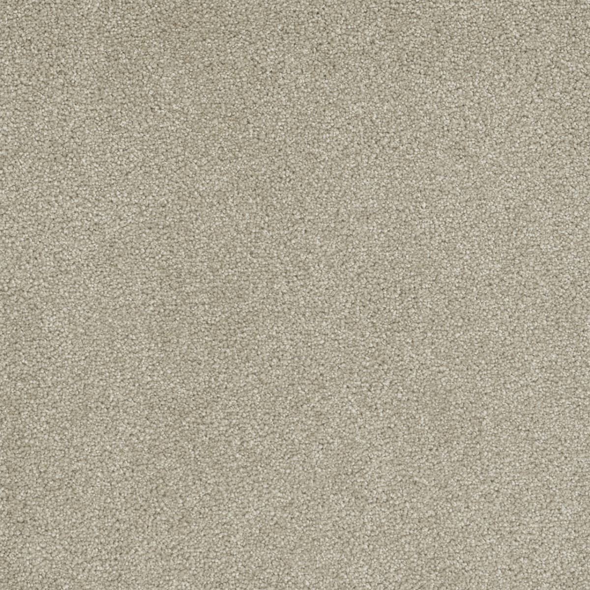 DreamWeaver® Rock Solid II Textured Cut Pile Carpet