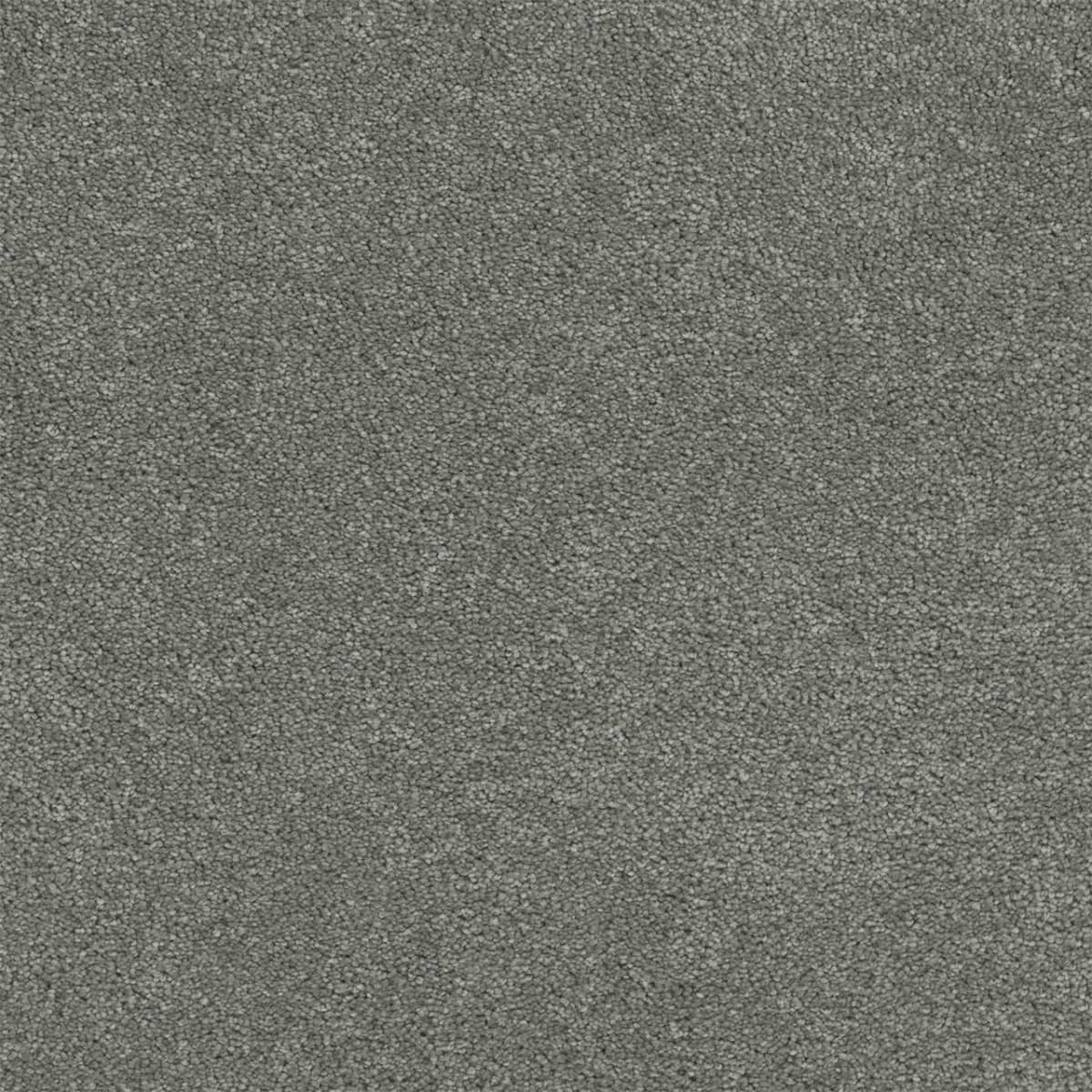 DreamWeaver® Rock Solid II Textured Cut Pile Carpet