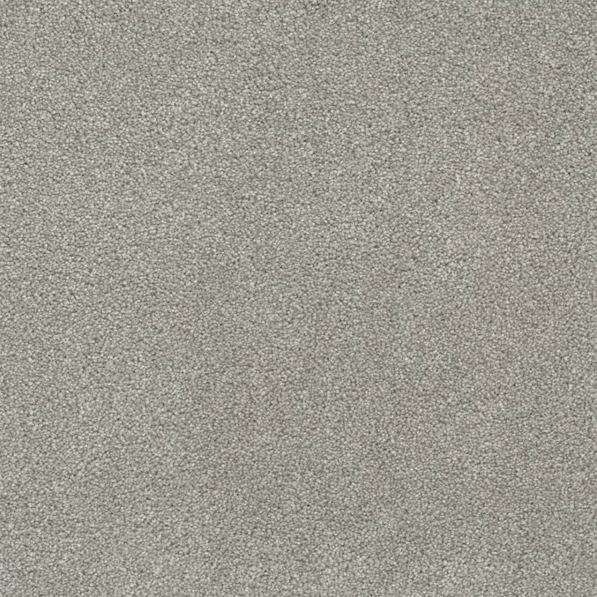 DreamWeaver® Rock Solid II Textured Cut Pile Carpet