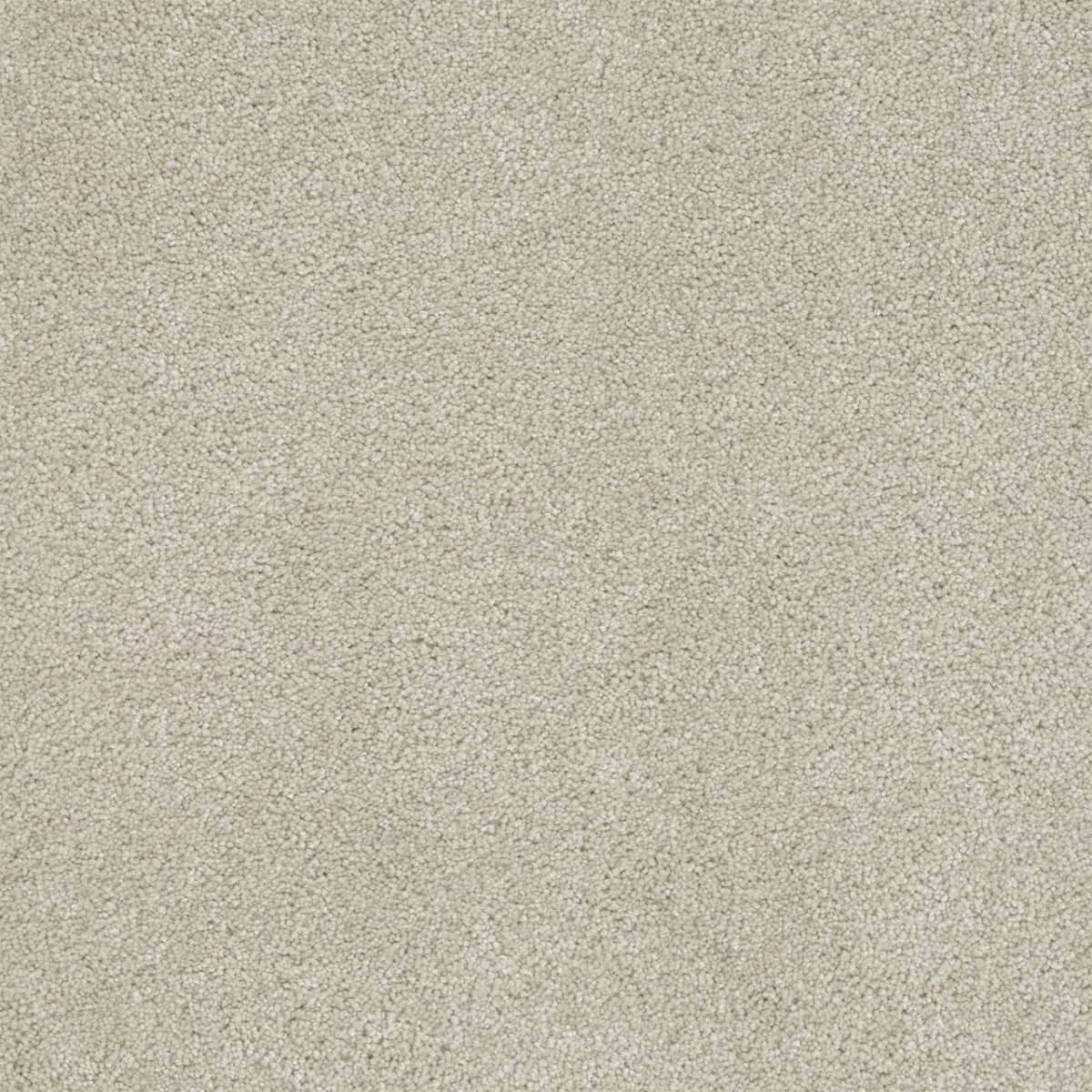 DreamWeaver® Rock Solid II Textured Cut Pile Carpet