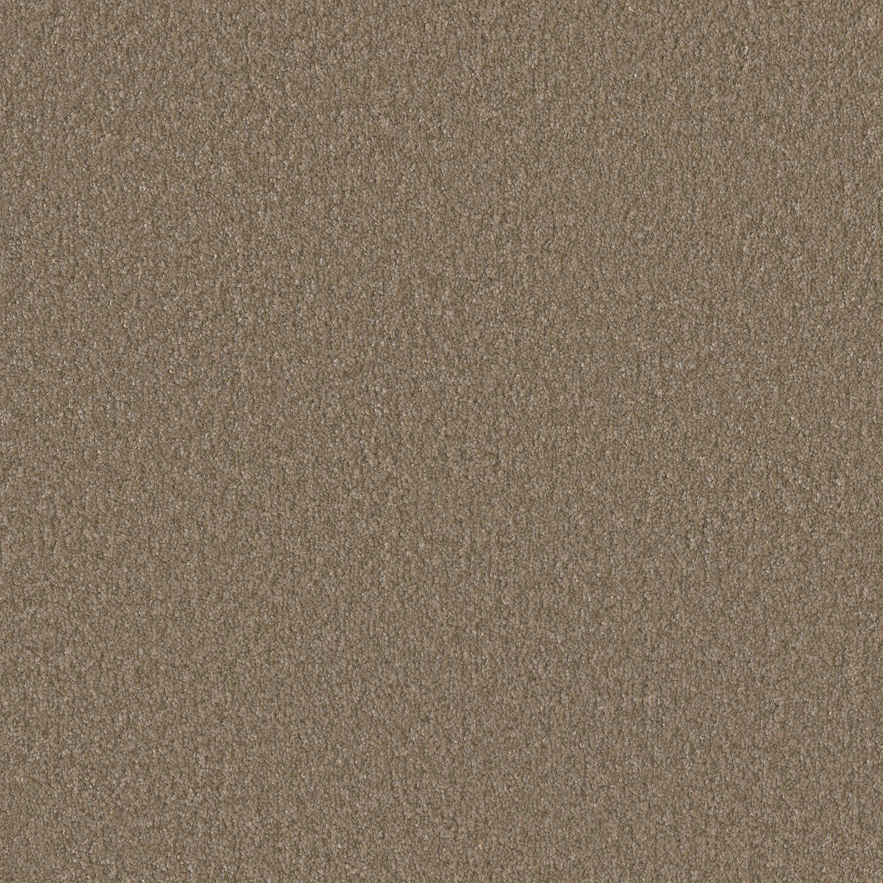 DreamWeaver® Rock Solid II Textured Cut Pile Carpet