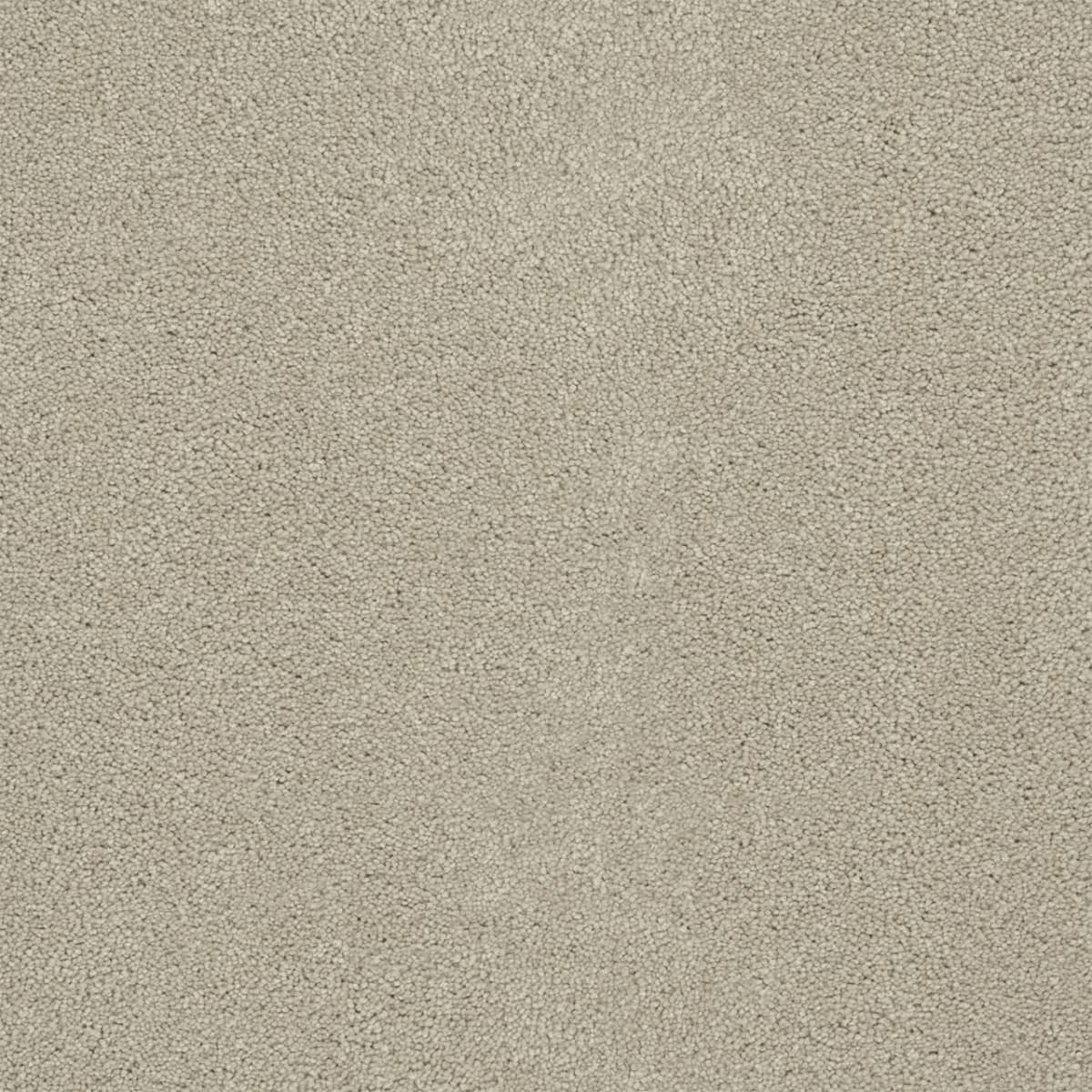 DreamWeaver® Rock Solid II Textured Cut Pile Carpet