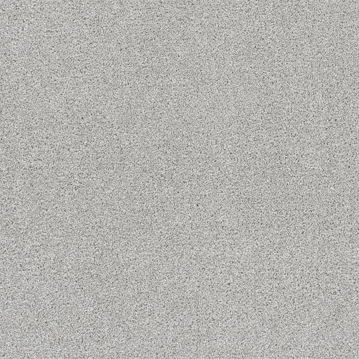 DreamWeaver® Rock Solid II Textured Cut Pile Carpet