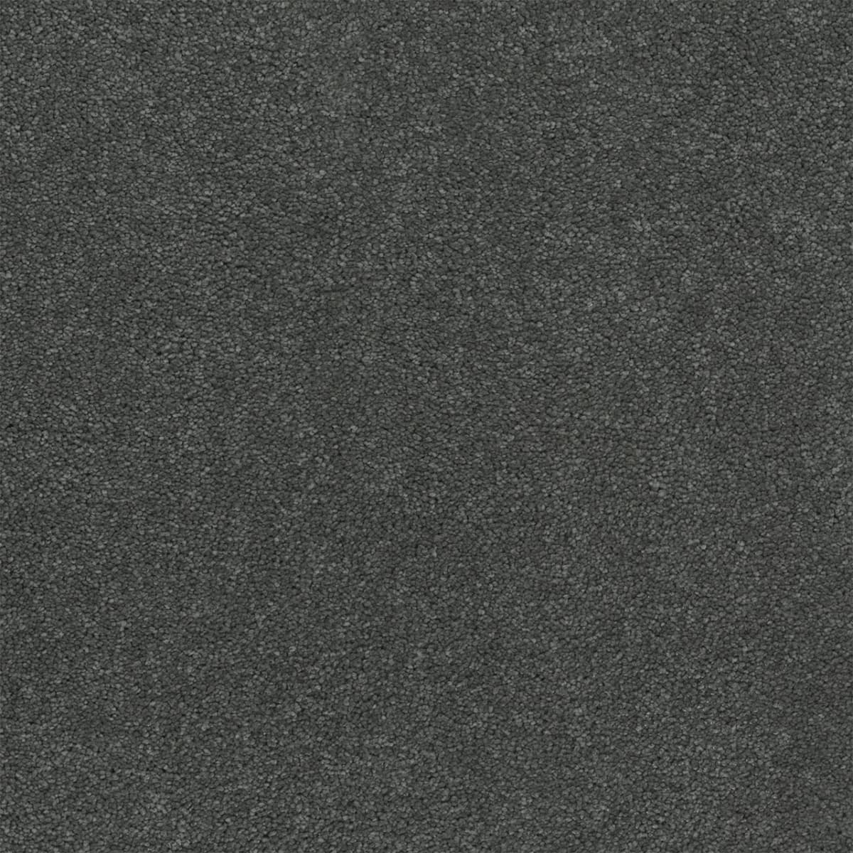 DreamWeaver® Rock Solid II Textured Cut Pile Carpet