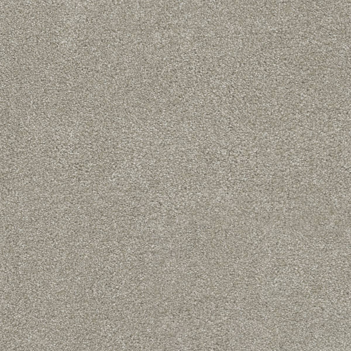 DreamWeaver® Rock Solid II Textured Cut Pile Carpet