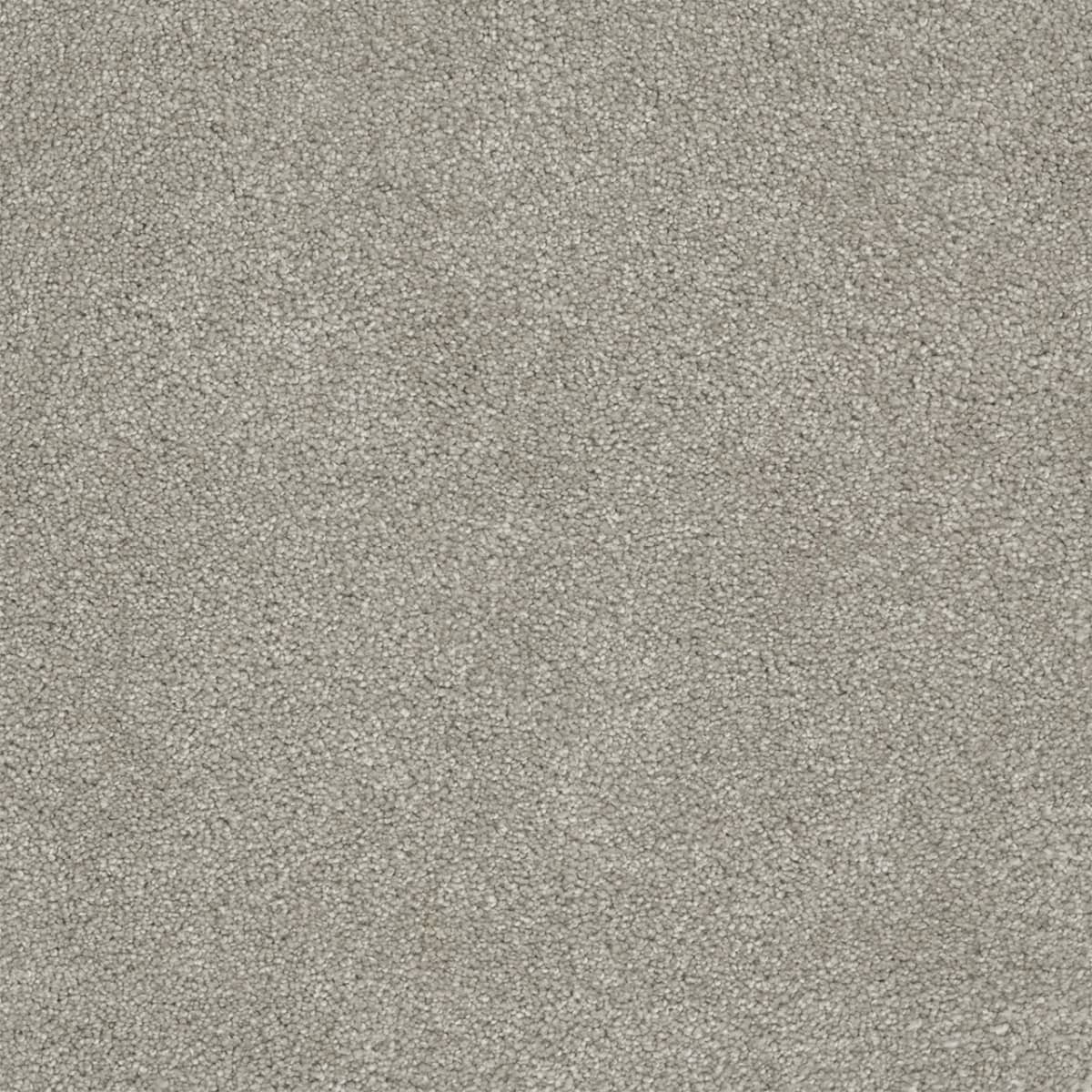 DreamWeaver® Rock Solid II Textured Cut Pile Carpet