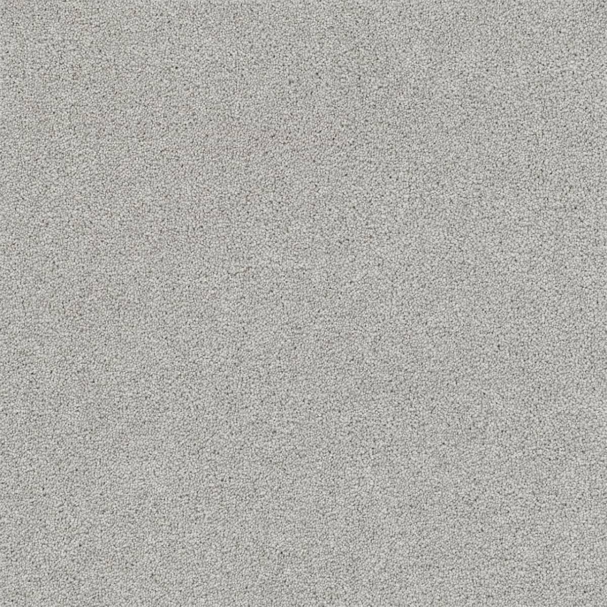 DreamWeaver® Rock Solid II Textured Cut Pile Carpet