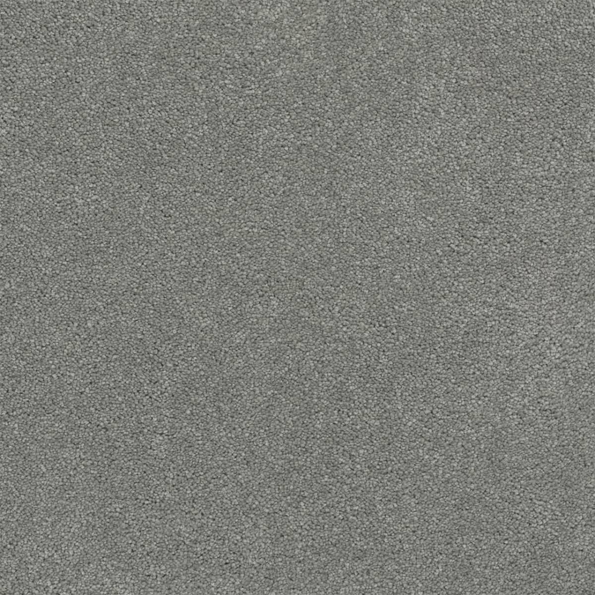 DreamWeaver® Rock Solid II Textured Cut Pile Carpet