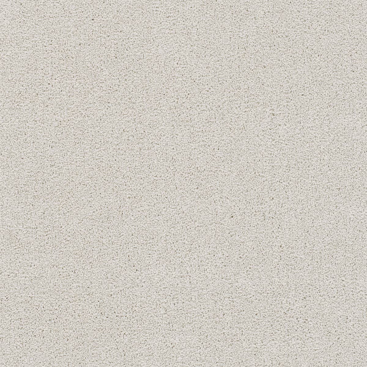 DreamWeaver® Rock Solid II Textured Cut Pile Carpet