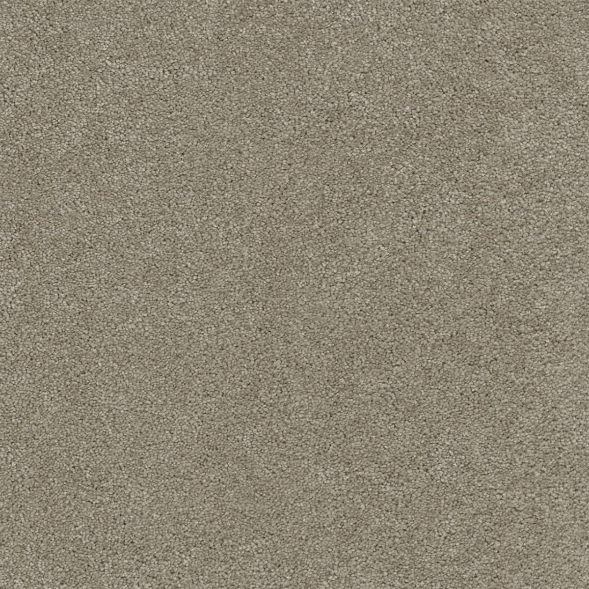 DreamWeaver® Rock Solid II Textured Cut Pile Carpet