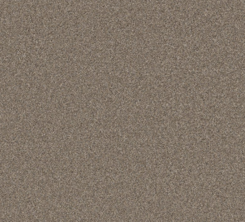 Rudy I Carpet | 10% OFF