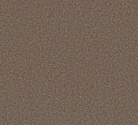 Rudy II Carpet | 10% OFF