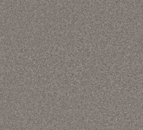 Rudy I Carpet | 10% OFF