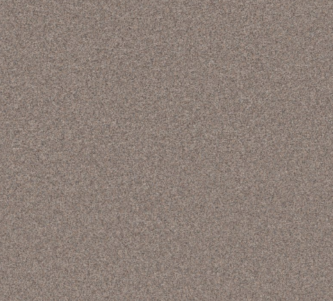 Rudy I Carpet | 10% OFF