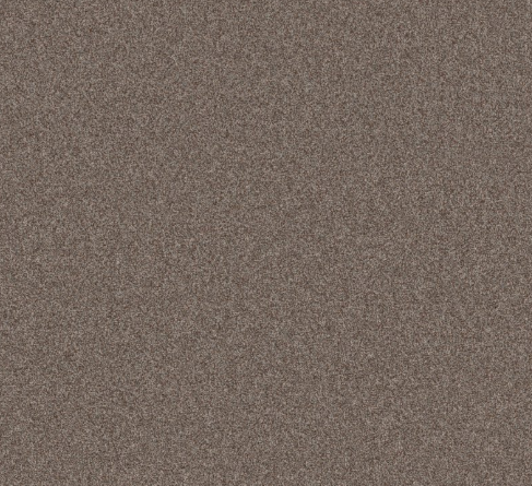 Rudy I Carpet | 10% OFF