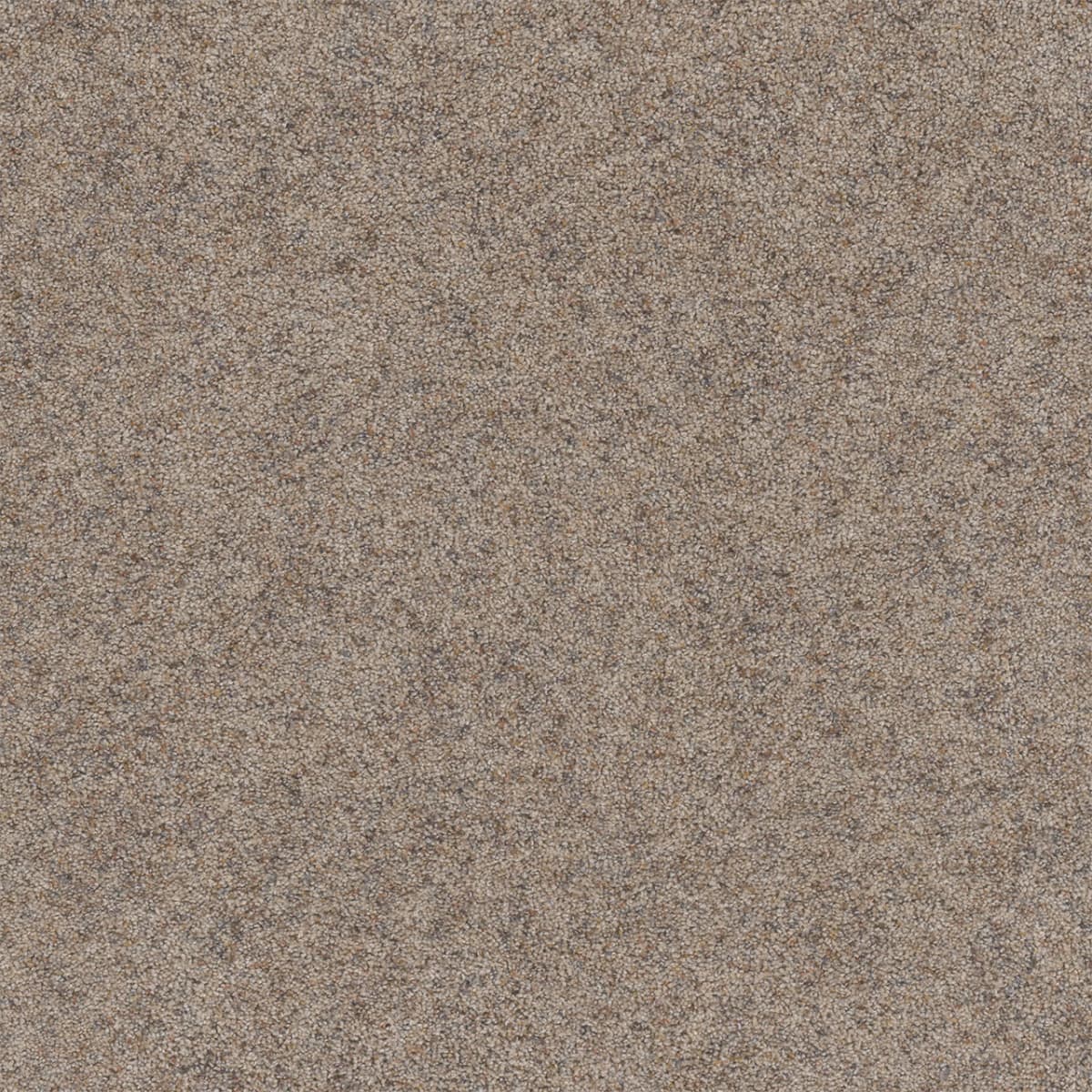 DreamWeaver® Rustic Retreat I Cut Pile Carpet