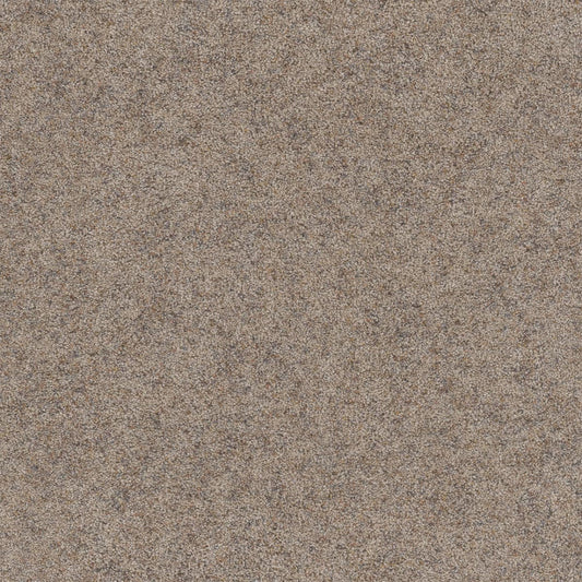 DreamWeaver® Rustic Retreat II Cut Pile Carpet