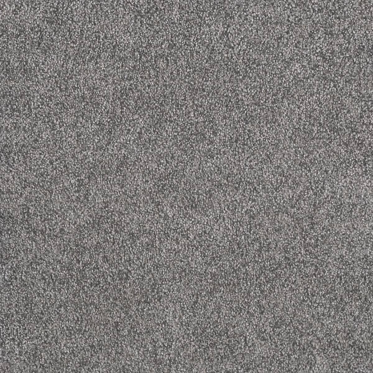 DreamWeaver® Rustic Retreat I Cut Pile Carpet