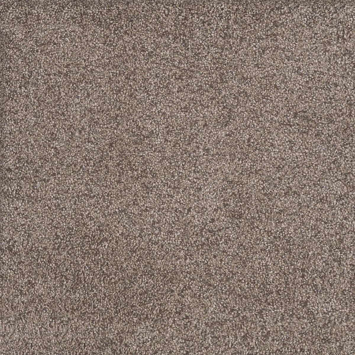 DreamWeaver® Rustic Retreat I Cut Pile Carpet
