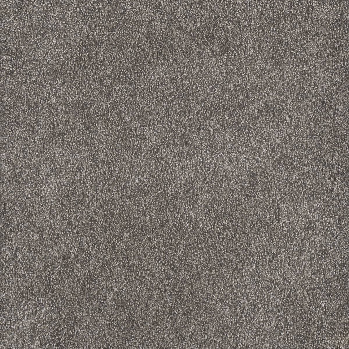 DreamWeaver® Rustic Retreat I Cut Pile Carpet