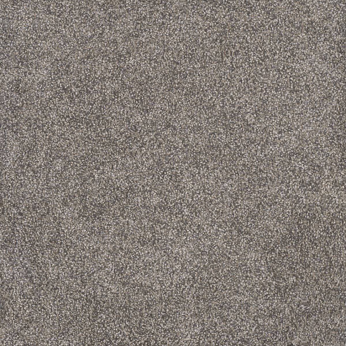 DreamWeaver® Rustic Retreat I Cut Pile Carpet