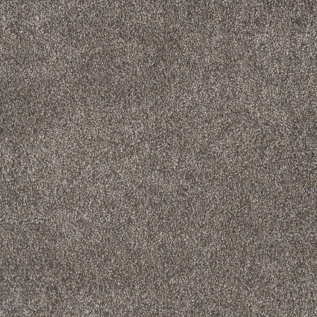DreamWeaver® Rustic Retreat I Cut Pile Carpet