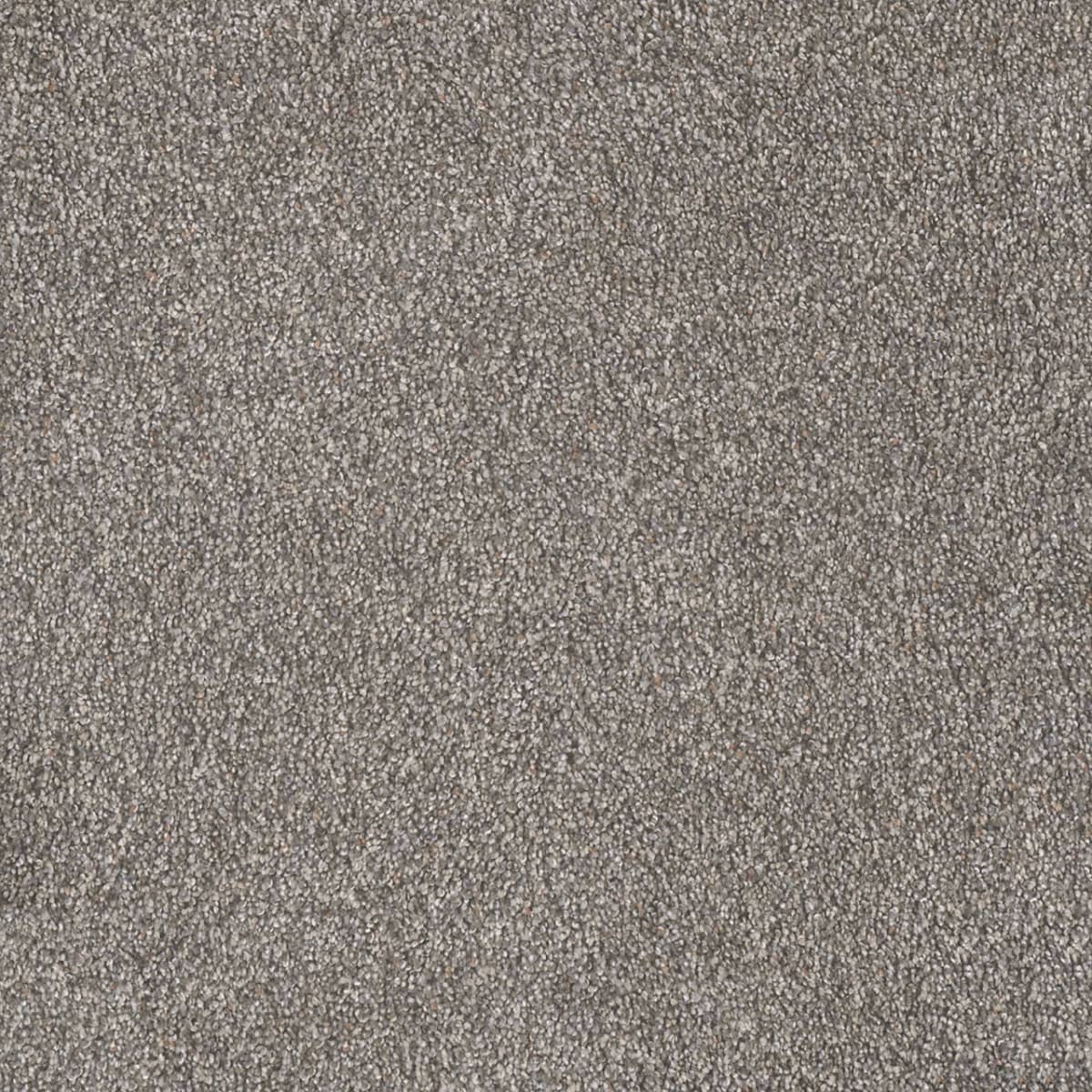 DreamWeaver® Rustic Retreat I Cut Pile Carpet
