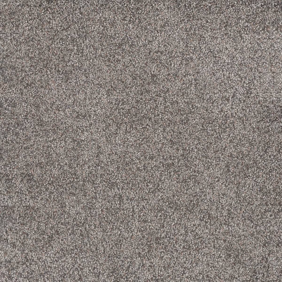 DreamWeaver® Rustic Retreat I Cut Pile Carpet