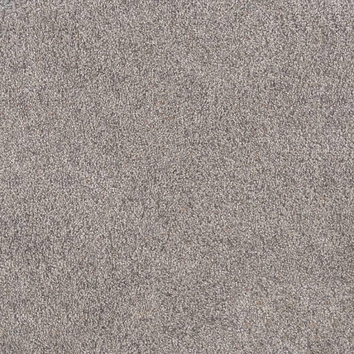 DreamWeaver® Rustic Retreat I Cut Pile Carpet