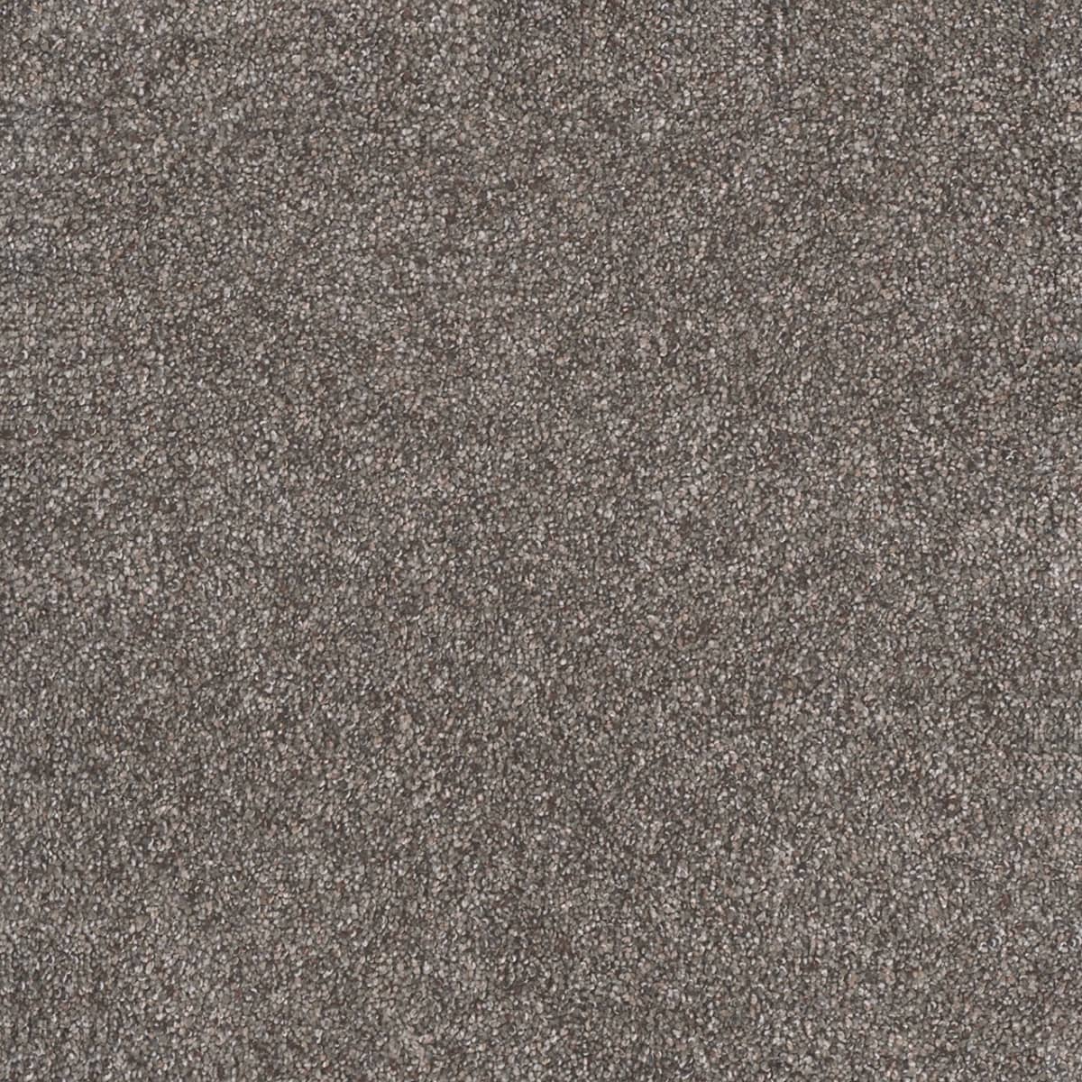 DreamWeaver® Rustic Retreat I Cut Pile Carpet