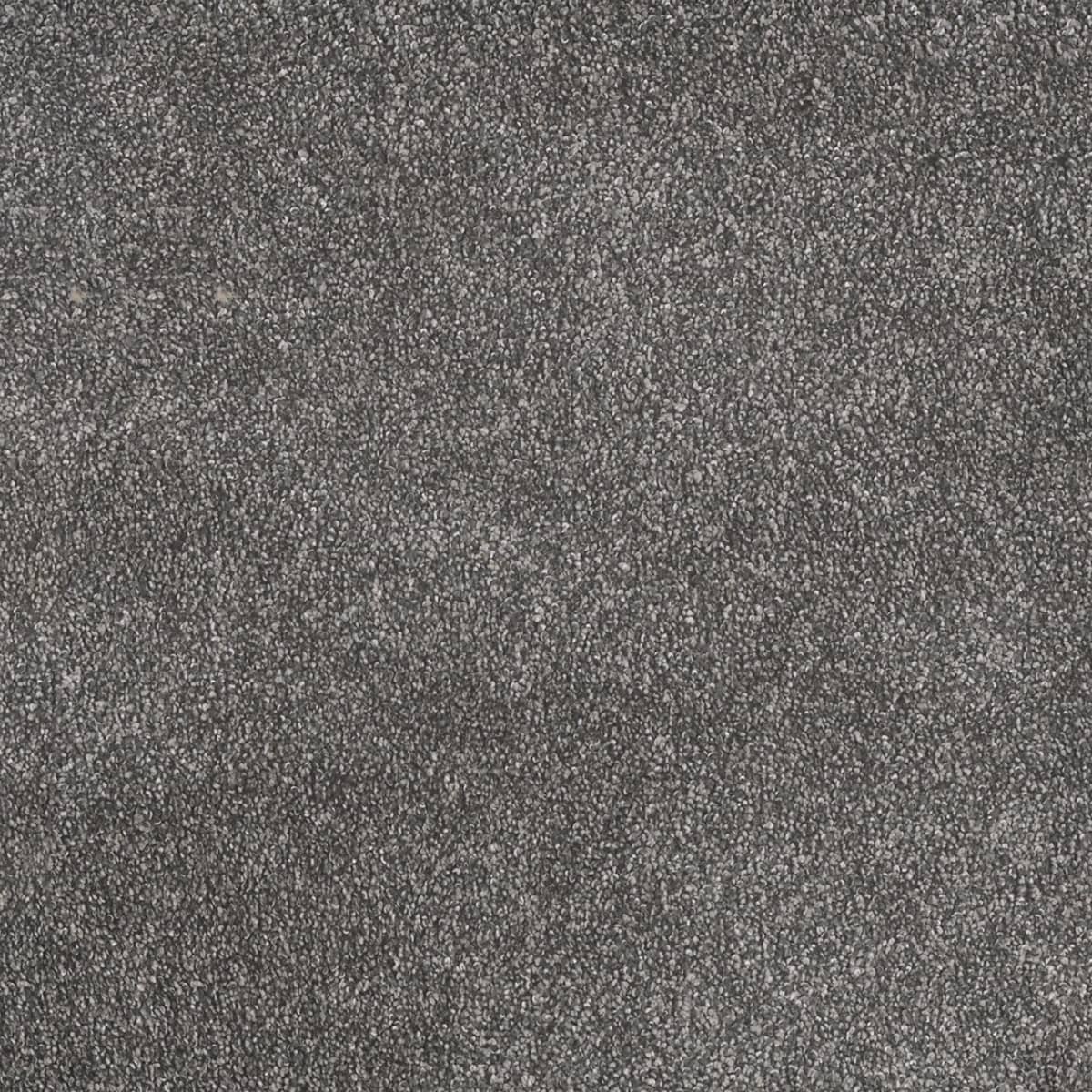 DreamWeaver® Rustic Retreat I Cut Pile Carpet