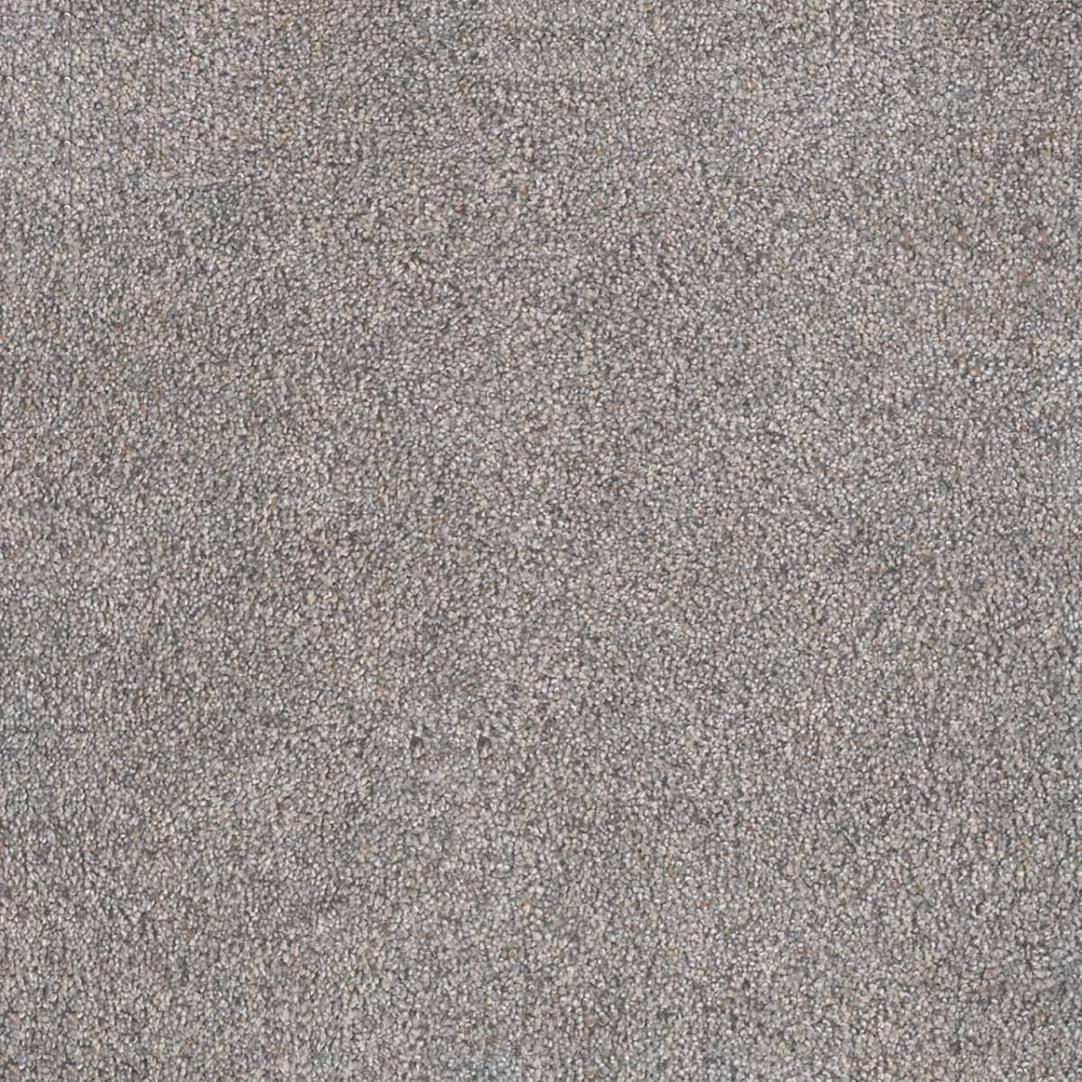 DreamWeaver® Rustic Retreat I Cut Pile Carpet