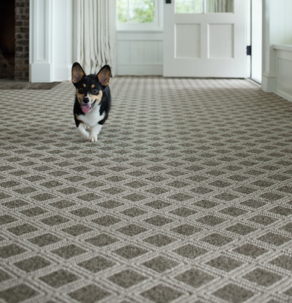 Scout, Desert Palm 5' x 7' Area Rug