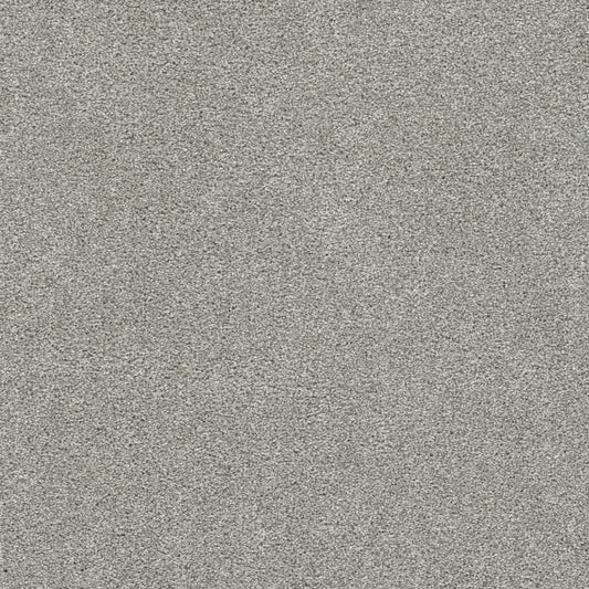 DreamWeaver® Silver Lining IV Textured Carpet
