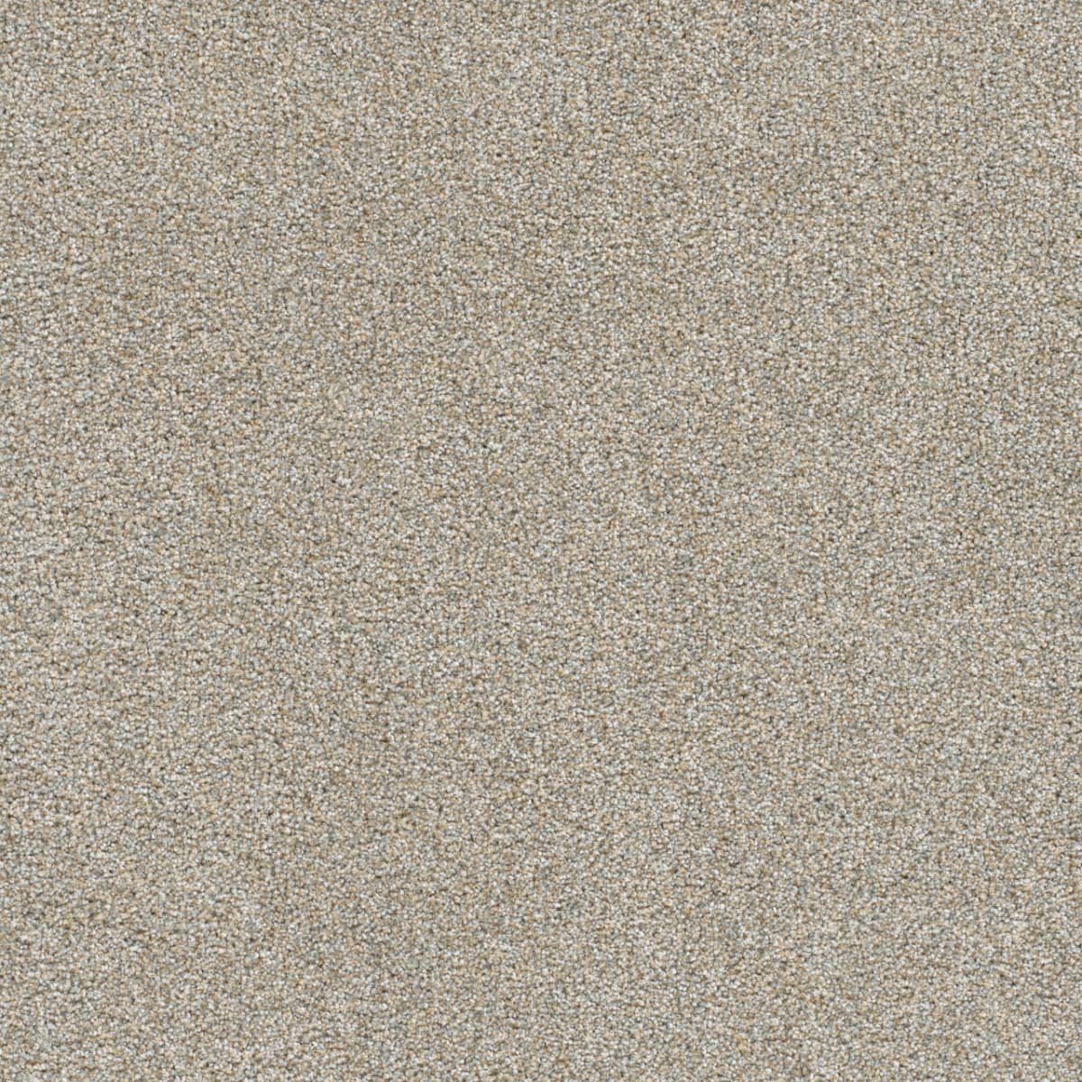 DreamWeaver® Silver Lining II Textured Carpet