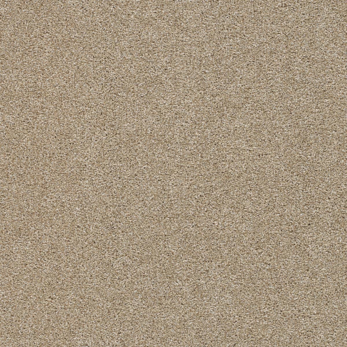 DreamWeaver® Silver Lining II Textured Carpet