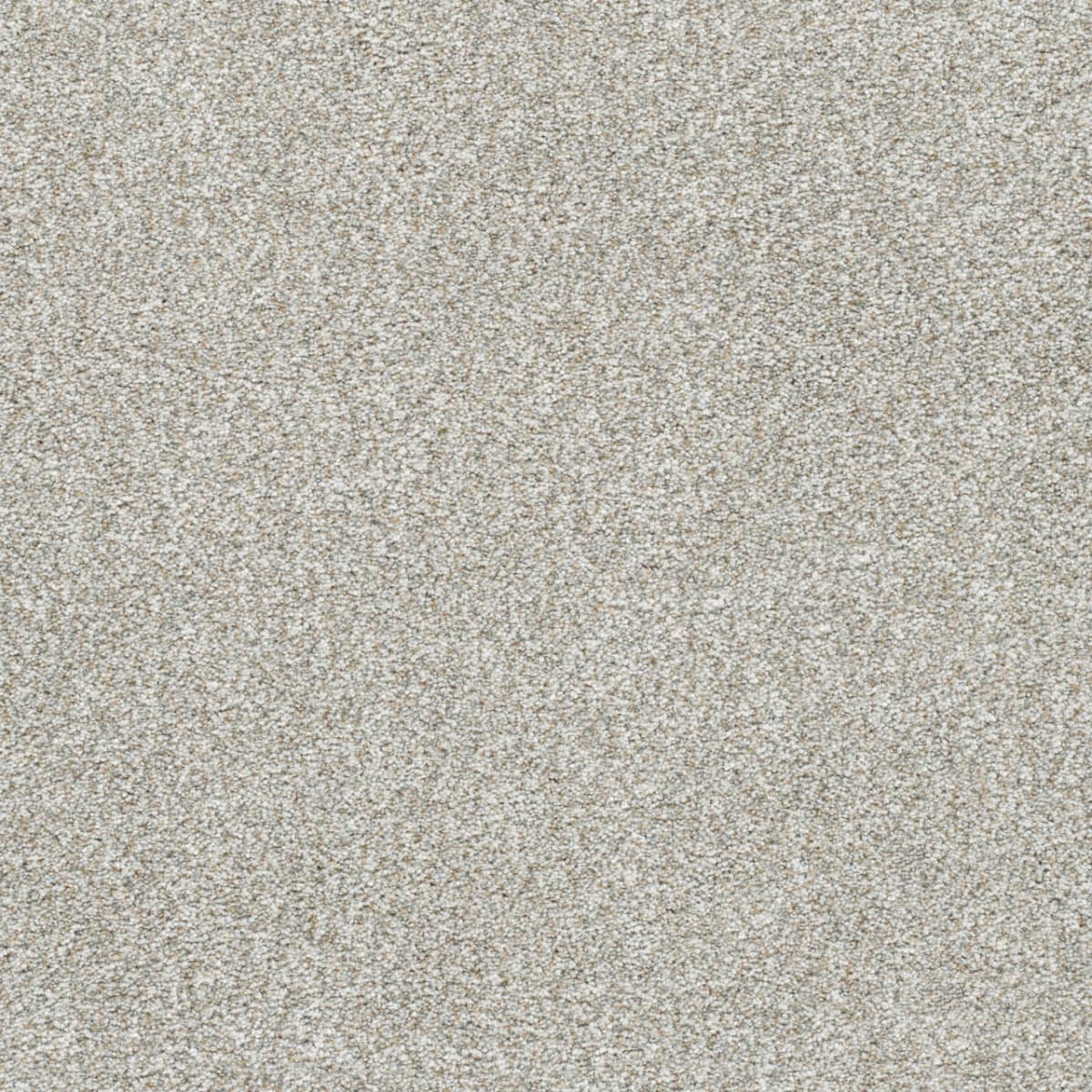 DreamWeaver® Silver Lining II Textured Carpet
